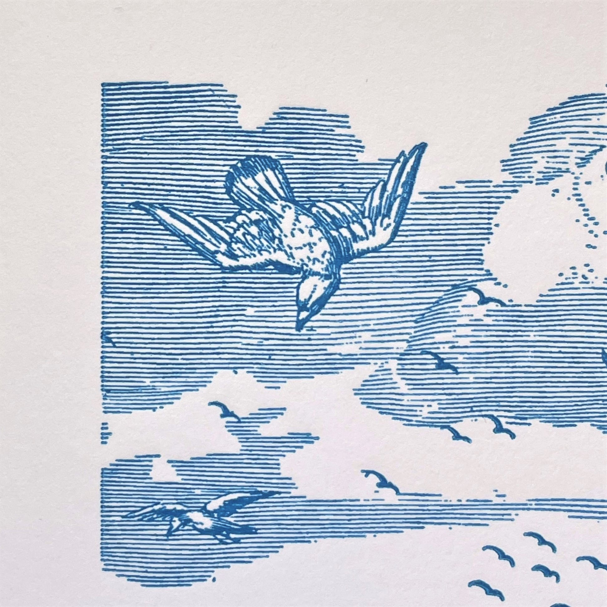 letterpress greetings card of a drawing of birds flying over the bass rock, blue ink on white, close-up