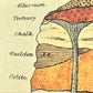 greetings card with image of the details of the crust of the earth, close-up