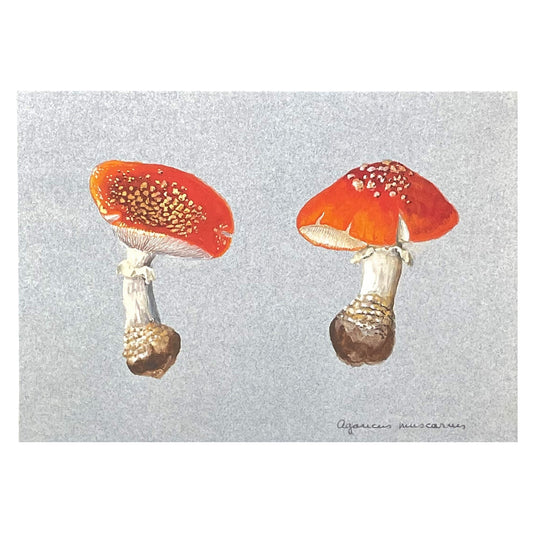 greetings card with image of two fly agaric toadstools, soft blue backdrop