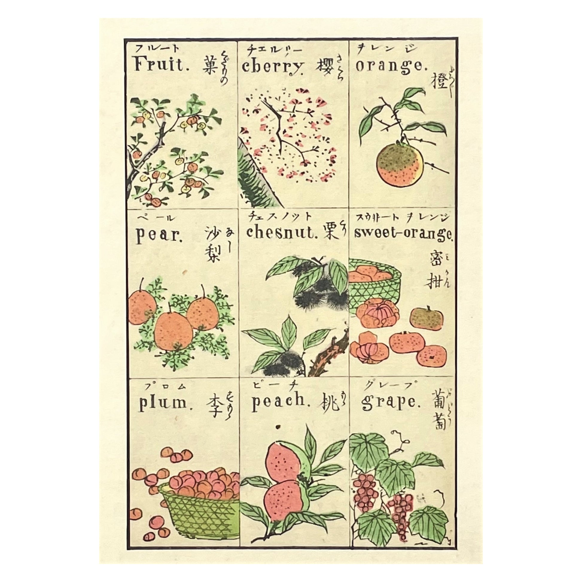 greetings card with drawings of japanese fruits by The Pattern Book