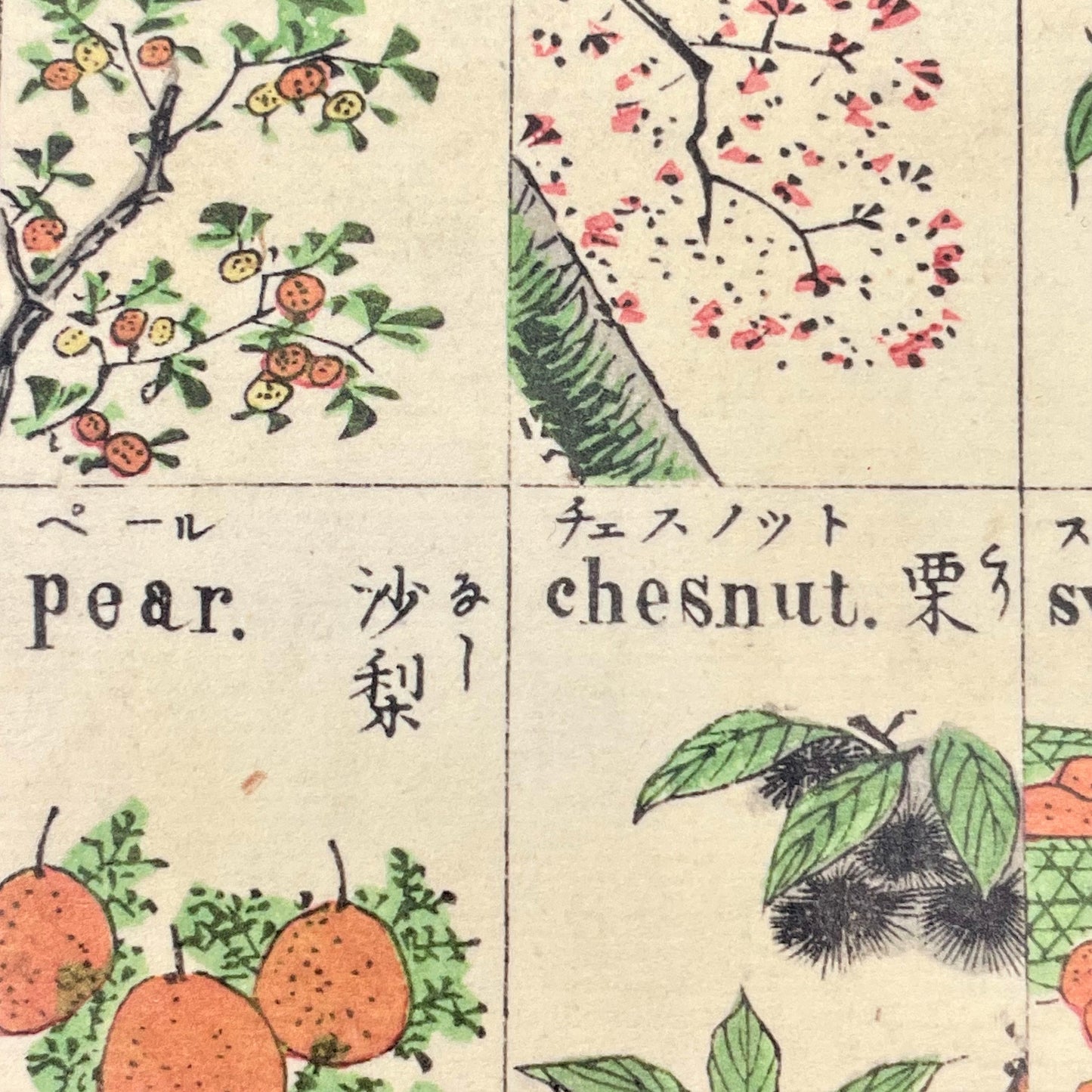 greetings card with drawings of japanese fruits, close-up