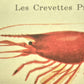 greetings card with image of three crevettes on dark ivory backdrop, close-up