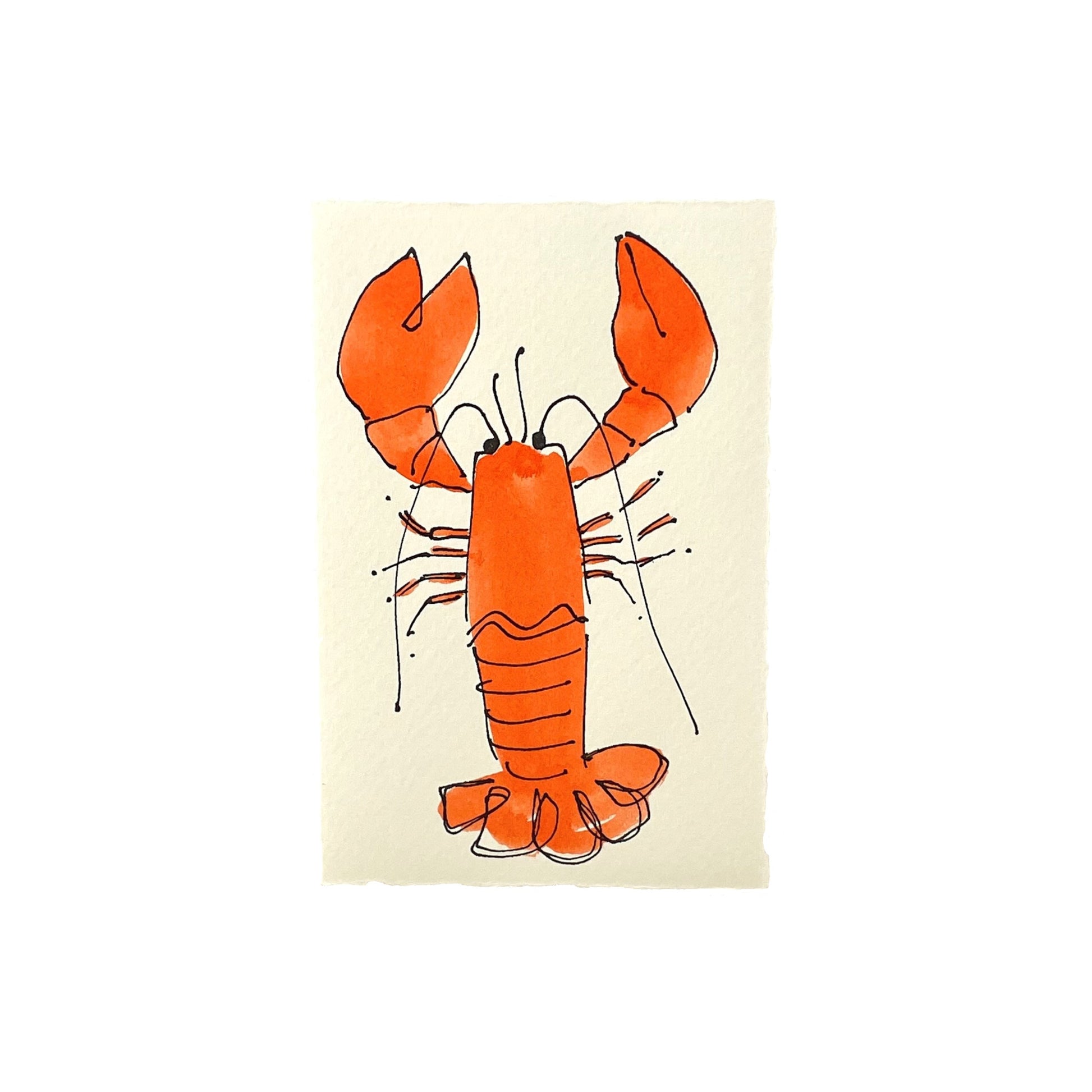 hand-painted greetings card of an orange lobster, by Scribble and Daub