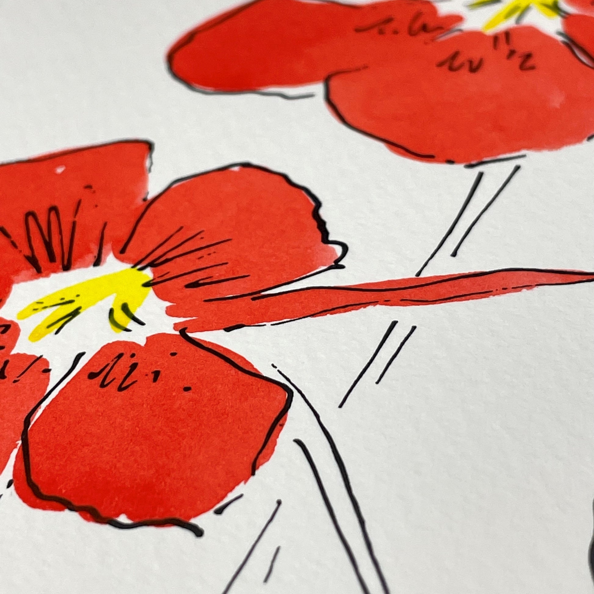 hand-painted greetings card of two red nasturtium flowers, close-up