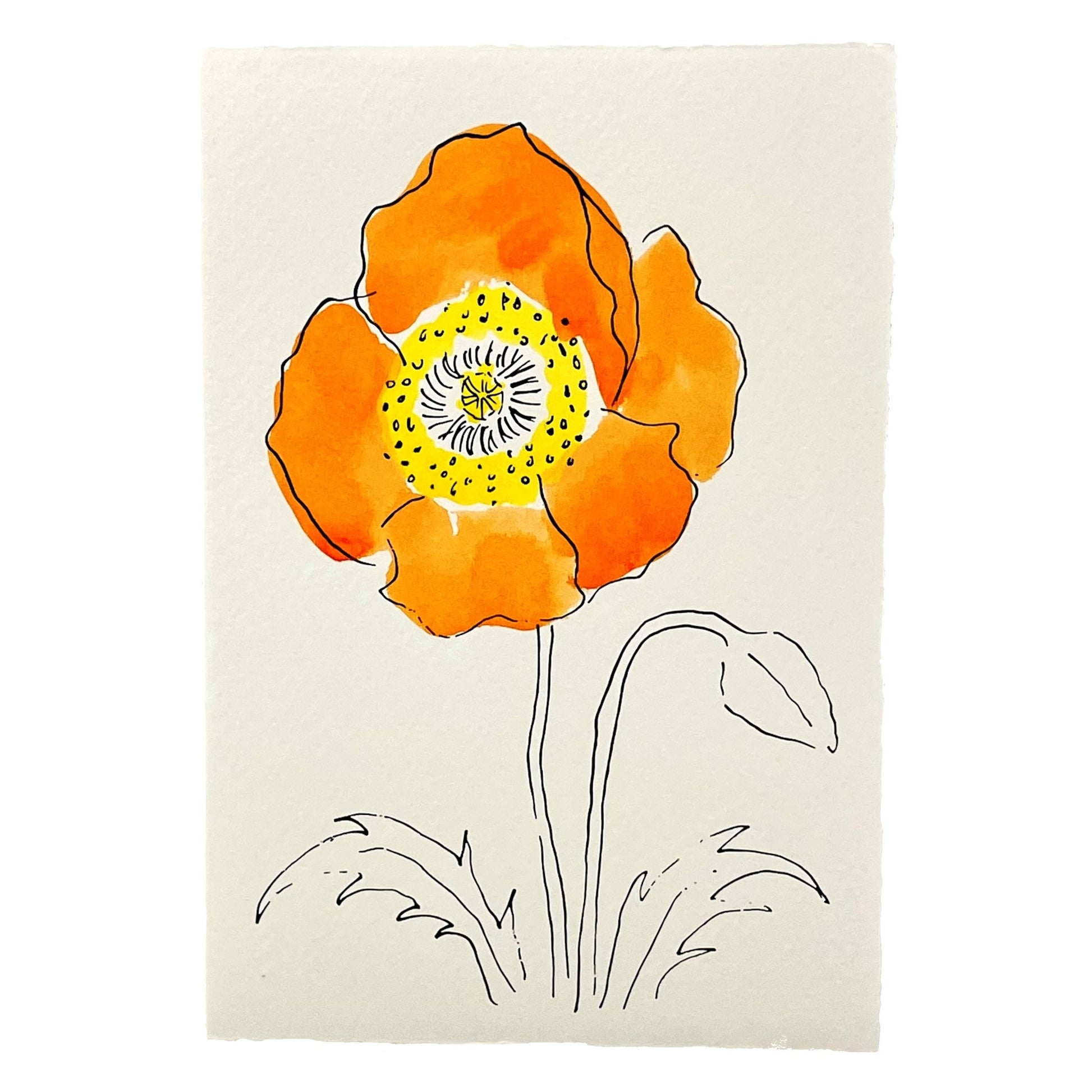 hand-painted greetings card of an orange oriental poppy flower, by Scribble and Daub