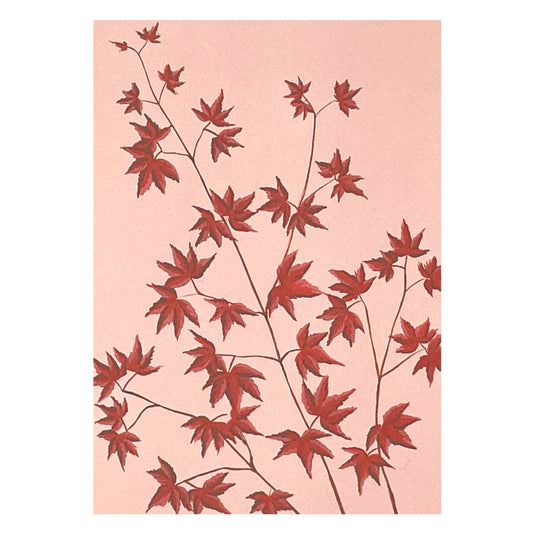 greetings card with botanical drawing of a red acer on blush pink backdrop by Stengun Drawings