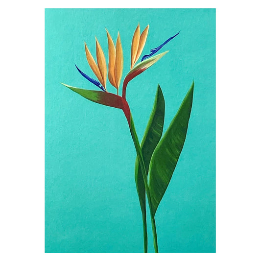 greetings card with botanical drawing of a yellow bird of paradise flower on a light teal backdrop by Stengun Drawings