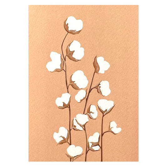 greetings card with botanical drawing of a white cotton plant with peach backdrop by Stengun Drawings