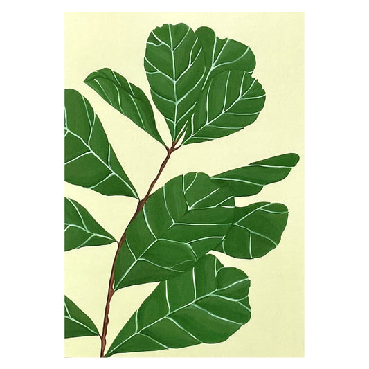 greetings card with botanical drawing of a green fiddle-leaf plant with pale lemon backdrop by Stengun Drawings