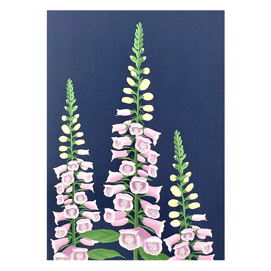 greetings card with botanical drawing of a pink foxglove with dark blue backdrop by Stengun Drawings