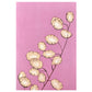 greetings card with botanical drawing of a stem of honesty seed heads with pink backdrop by Stengun Drawings